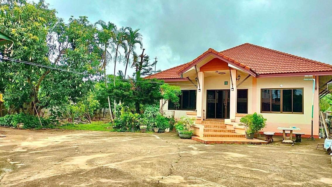 ขายบ้านพร้อมที่ดินสวยๆ ทำเลดี ใกล้จุดสำคัญหลายๆที่ 14