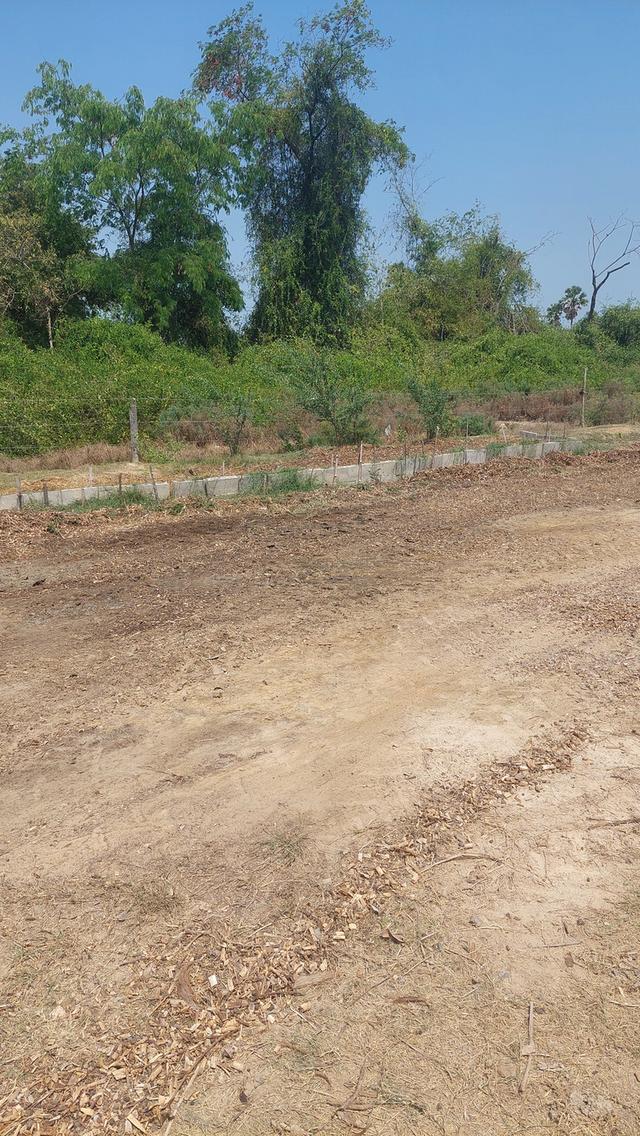 ที่ดินสองไร่พร้อมบ้านสวน 8