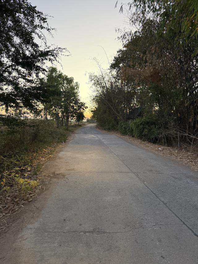 📍ขายที่นา 4ไร่ 3งาน 3.1ตารางวา หน้ากว้าง 40 เมตร น้ำไม่เคยท่วม มีไฟฟ้า น้ำปะปา  ติดถนน 12