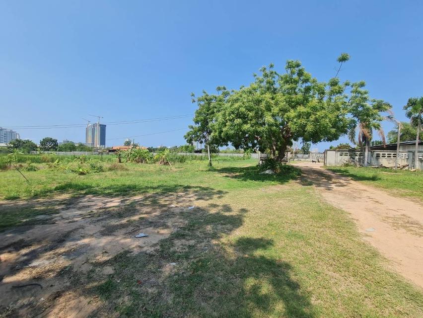 ขายที่ดินพัทยาใต้ ซอยสุขุมวิท 58 และ 60  7