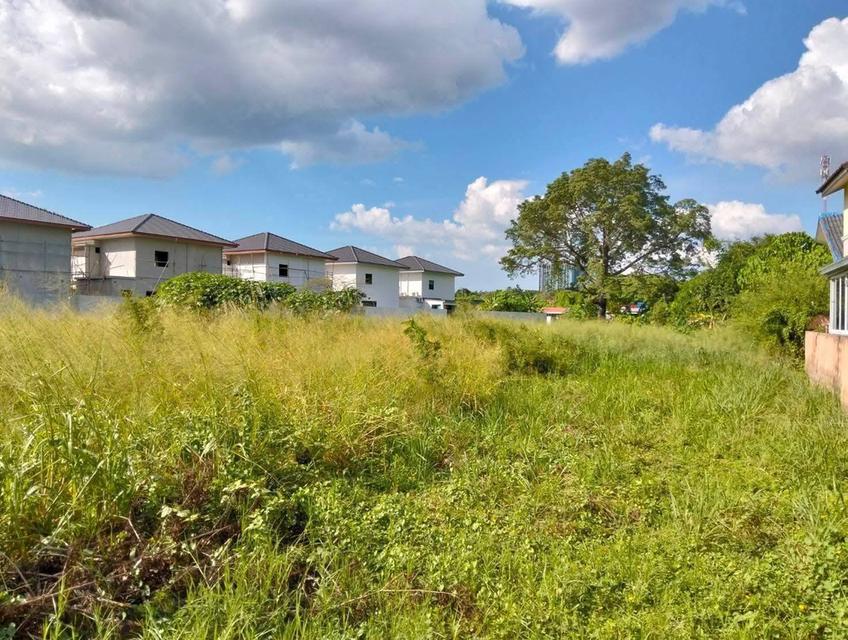 ที่ดิน 2 ไร่ 3 งาน แหลมฉบัง ใกล้ท่าเรือ 3 กม. 3