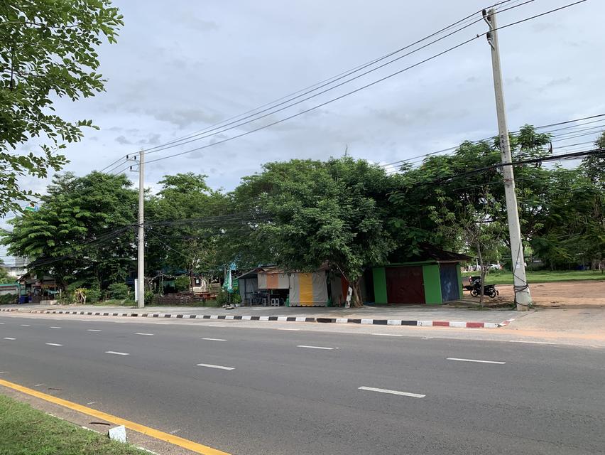 ขายที่ดินติดถนนใหญ่ มหาสารคาม 3