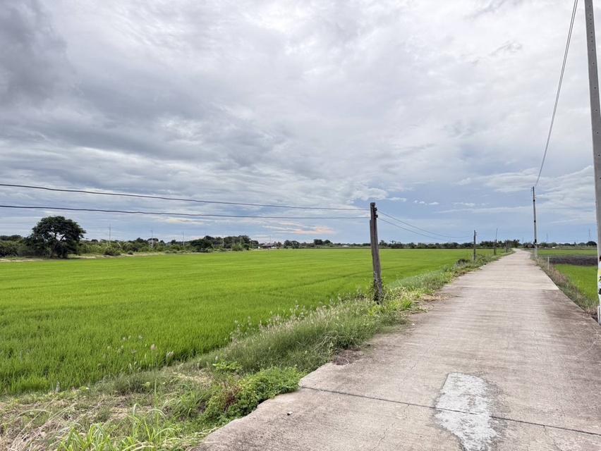 ขายที่ดินบางเตยแปดริ้ว 3 ไร่ ติดถนนคอนกรีต ใกล้ถนนวงแหวนเลี่ยงเมือง365-4กม. เมืองฉะเชิงเทรา 4