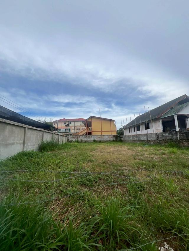 ขายด่วนที่ดินพัทยา บางละมุง ชลบุรี 5