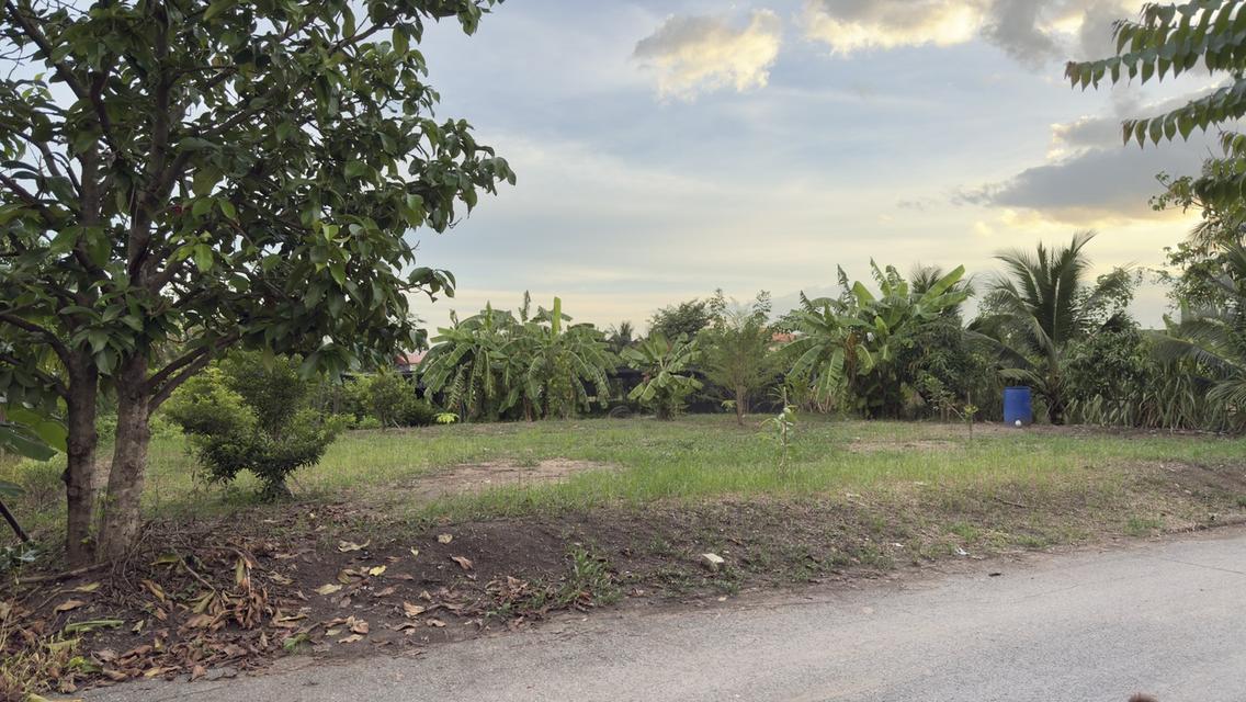 ขายที่ดินเปล่า 130 ตรม. เพชรเกษม110 2