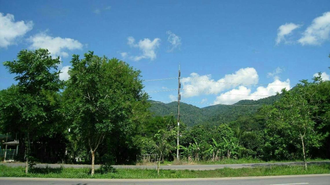 ที่ดิน 8.5 ไร่ ริมถนนสุขุมวิท ต.คลองนารายณ์ อ.เมือง จ.จันทบุรี 1