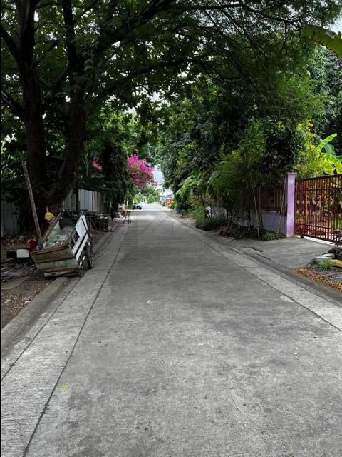 ขายที่ดิน 145 ตารางวา สุขุมวิท 101 ปุณณวิถี 43 เหมาะสร้างบ้าน สำนักงาน หรือลงทุน 3