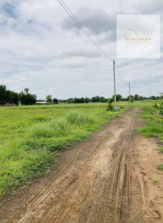 ขายที่่ดินสำหรับปลูกบ้านพักอาศัย อยู่ใกล้แหล่งชุมชน เดินทางสะดวก ใกล้ตัวเมืองบุรีรัมย์ 3