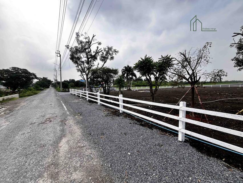 ที่ดินถมแล้ว พร้อมสร้างบ้าน ไทรน้อย 500 ตรว. ถนนบ้านกล้วย-ไทรน้อย ล้อมรั้วแล้ว ทำวเลดี 8