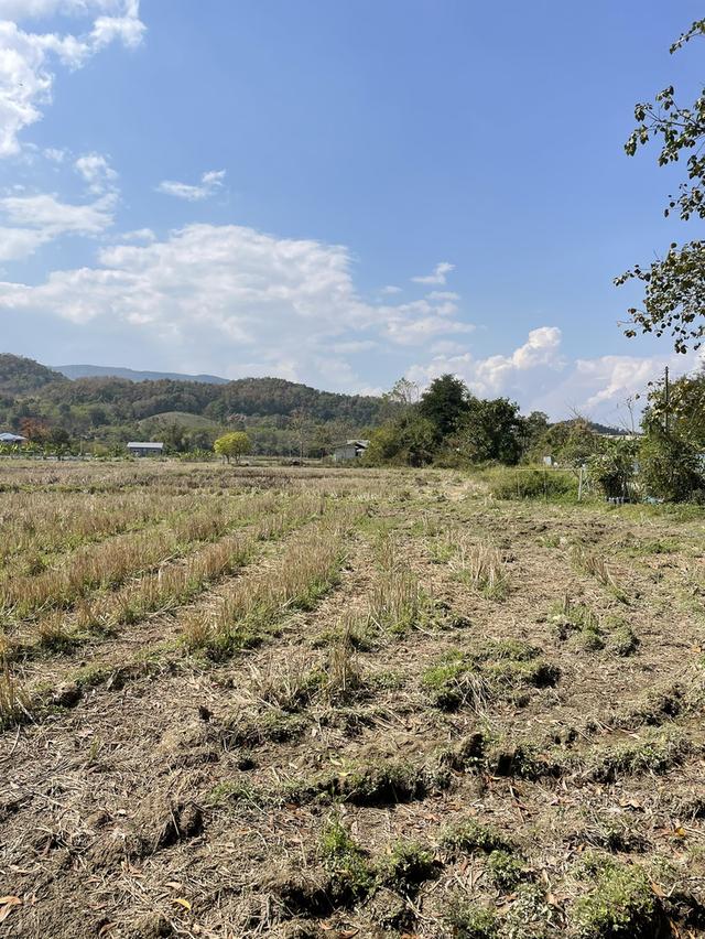 ที่ดินเชียงราย 5 ไร่ 10