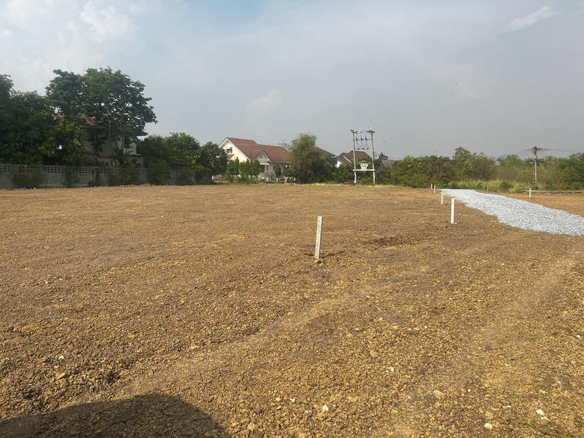 ขายที่ดินจัดสรรสวนเกษตรไผ่ขวาง 7 แปลง 9