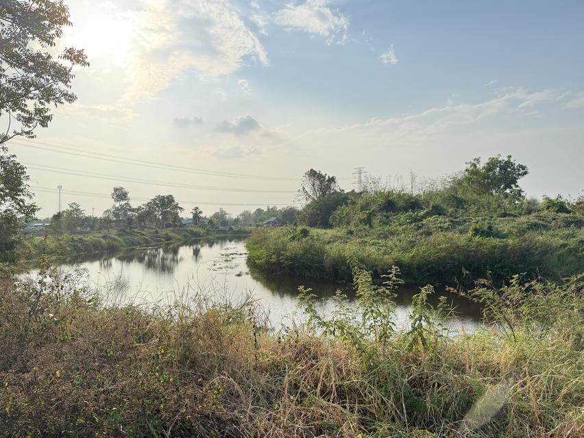 ขายที่ดินถมแล้ว วิวสวย ติดถนนใหญ่ ด้านหลังติดคลอง อ.วังทอง จ.พิษณุโลก 7