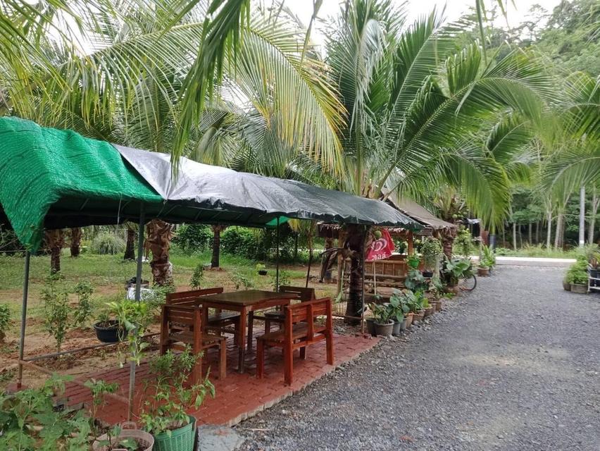 บ้านพร้อมที่ดินโฉนดติดวิวเขาใกล้ทะเล 13
