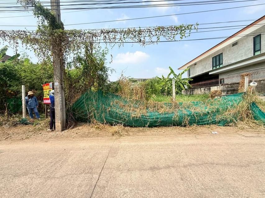 Vายทีดิน 103 ตารางวา ติดถนนคอนกริตสาธารณะ ซอย ติวานนท์ 27 เมืองนนทบุรี รูปย่อยที่ 4