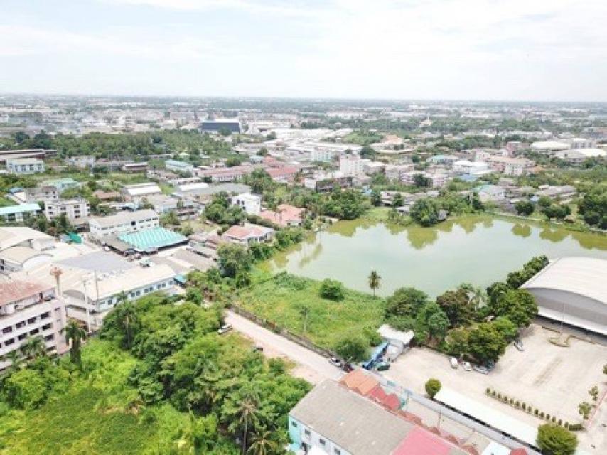 ขายที่ดิน ริมทะเลสาบ 621 ตรว. ซอยหมอศรี สามพราน เหมาะทำบ้านเดี่ยว 4