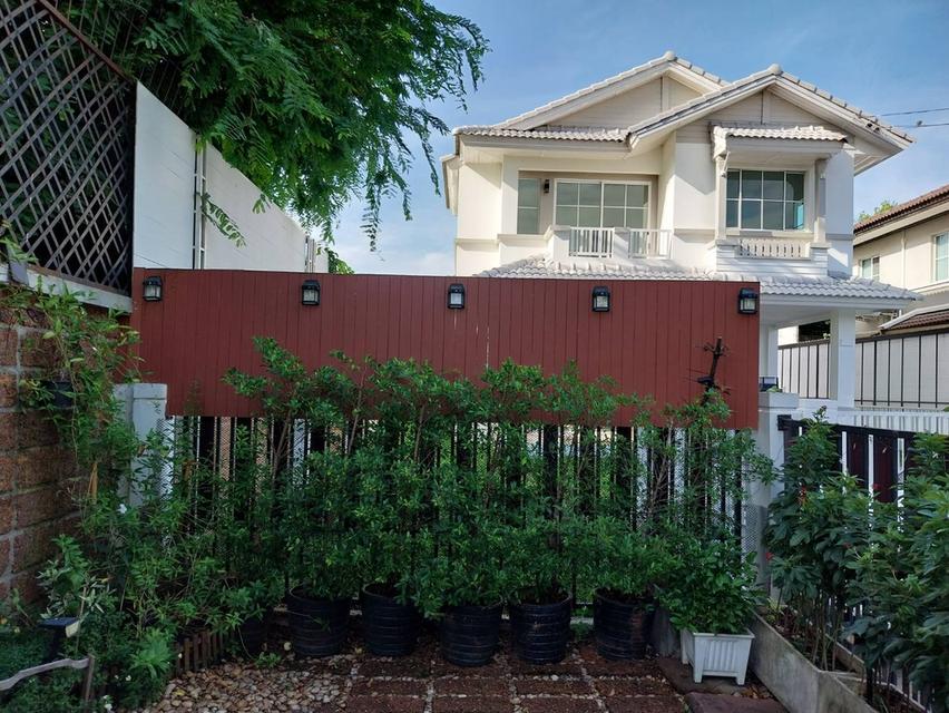 • บ้านเดี่ยวสองชั้น เนื้อที่ 60.2 ตรว.พร้อมอยู่ (เนื้อที่ใข้สอย 142 ตรม.) 10