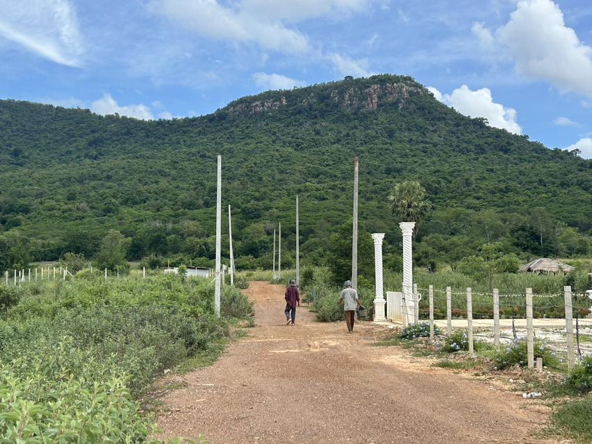 ที่ดิน Valley View แก่งกระจาน  เพชรบุรี สด ผ่อนได้ 7