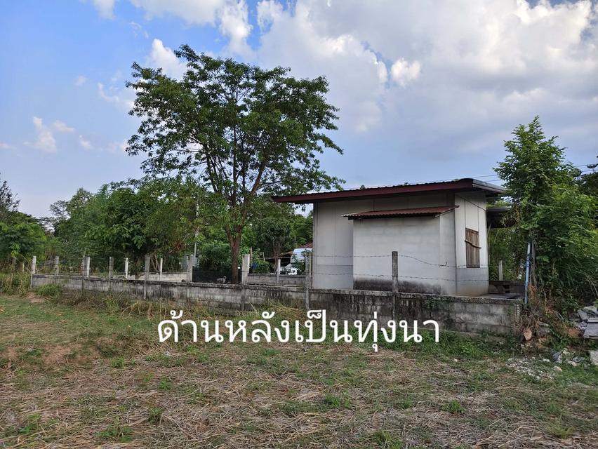 ขายที่ดินพร้อมสิ่งปลูกสร้าง 47ตรว 5