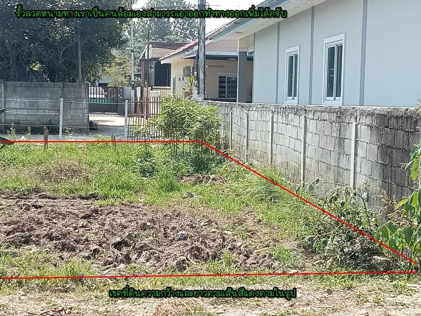 ที่ดินเปล่า/ไม่แบ่งขาย 7