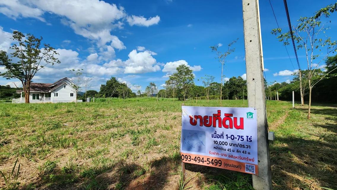 ที่ดินเขาใหญ่ฯ  | 1-0-75 ไร่.| 4.75 ล.| ติดหน้าผาฯ(หายาก) ต.หมูสีเขาใหญ่ฯ 7