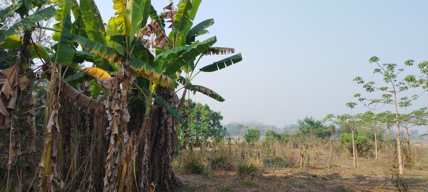 ที่โฉนดวิวเขา ห่าง อบต 1กิโล ที่หน้ากว้างติดถนน80เมตรวิวสวยมากใกล้ชุมชน 4