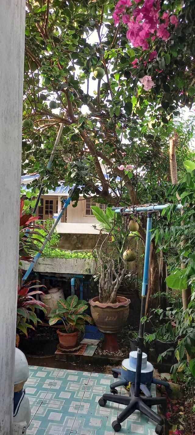 บ้านเดี่ยวพร้อมที่ดิน เจ้าของขายเอง ราคาถูกต้องการขายด่วน 1