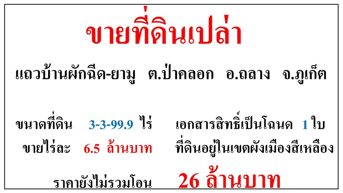 ขายที่ดินเปล่า ขนาด 3-3-99.9 ไร่  แถวบ้านผักฉีด-ยามู  ต.ป่าคลอก  อ.ถลาง  ภูเก็ต 1