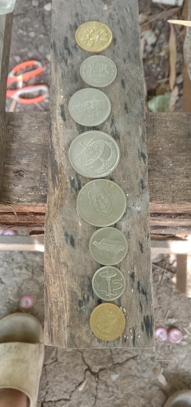 เหรียญต่างประเทศ 20