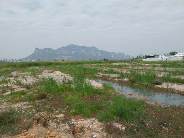 ขายที่ดินเปล่า วิวภูเขา ใกล้หาดชะอำ เนื้อที่ 16-1-84 ไร่ ถนนเพชรเกษม ตำบลชะอำ อำเภอชะอำ จังหวัดเพชรบุรี 1