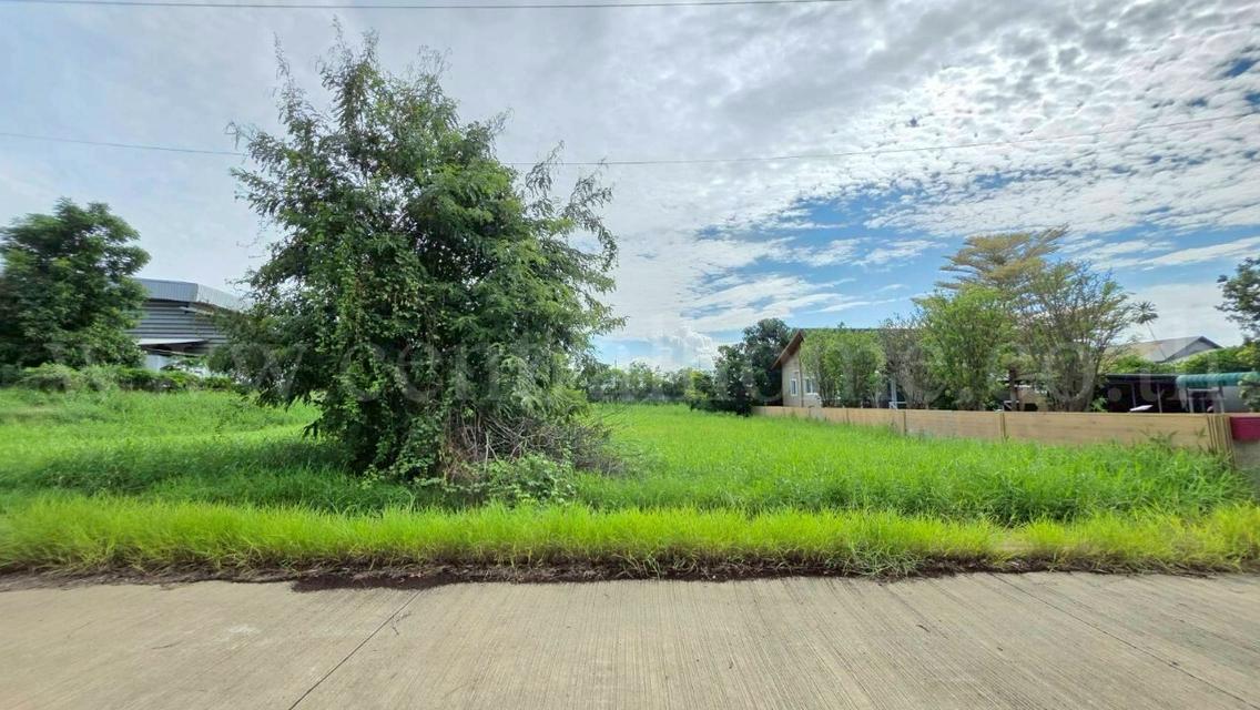ที่ดินเปล่า 98 ตร.วา ต้นโครงการ เดอะลากูน 1-2 สามโคก ปทุมธานี  5