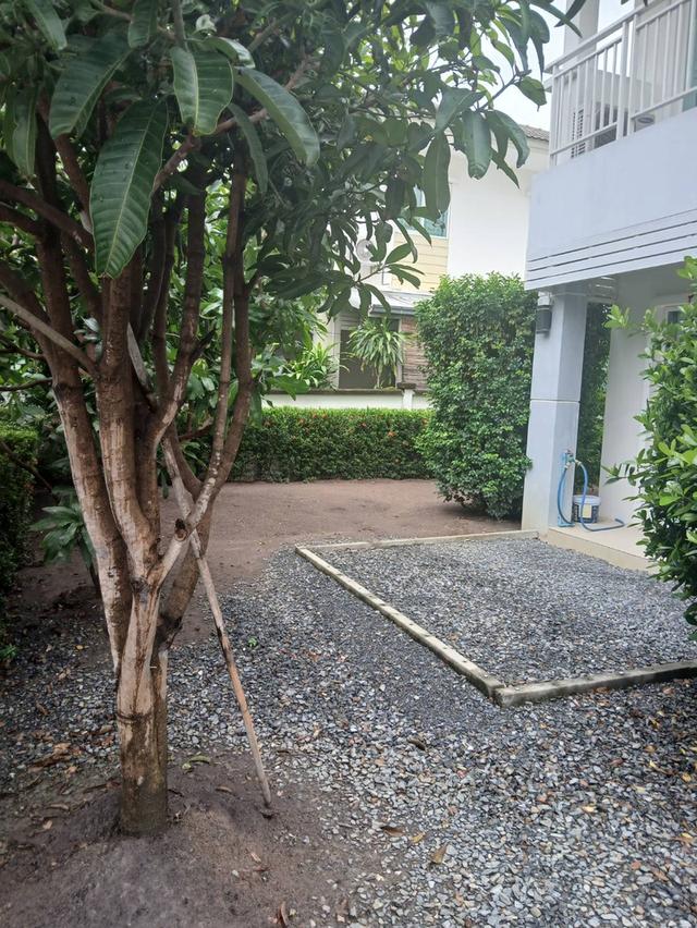 ให้เช่าบ้านเดี่ยว 2 ชั้น : 56 ตรว.  3 ห้องนอน 3 ห้องน้ำ ถนนบ้านกล้วย-ไทรน้อย บางบัวทอง นนทบุรี ตรงข้ามสนามเด็กเล่น ฟิตเนต สวนสาธารณะหมู่บ้าน 2