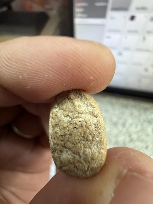 กรุวัดพลับ พิมพ์ไม่สมบูรณ์ แต่เนื้อจัดจ้านมาก รูปที่ 5