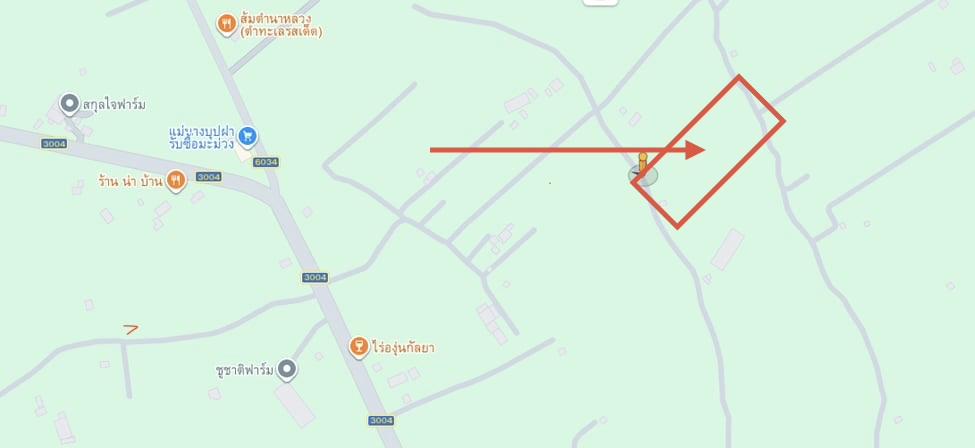 ขายที่ดิน สวนมะม่วงพร้อมให้ผลผลิต 2