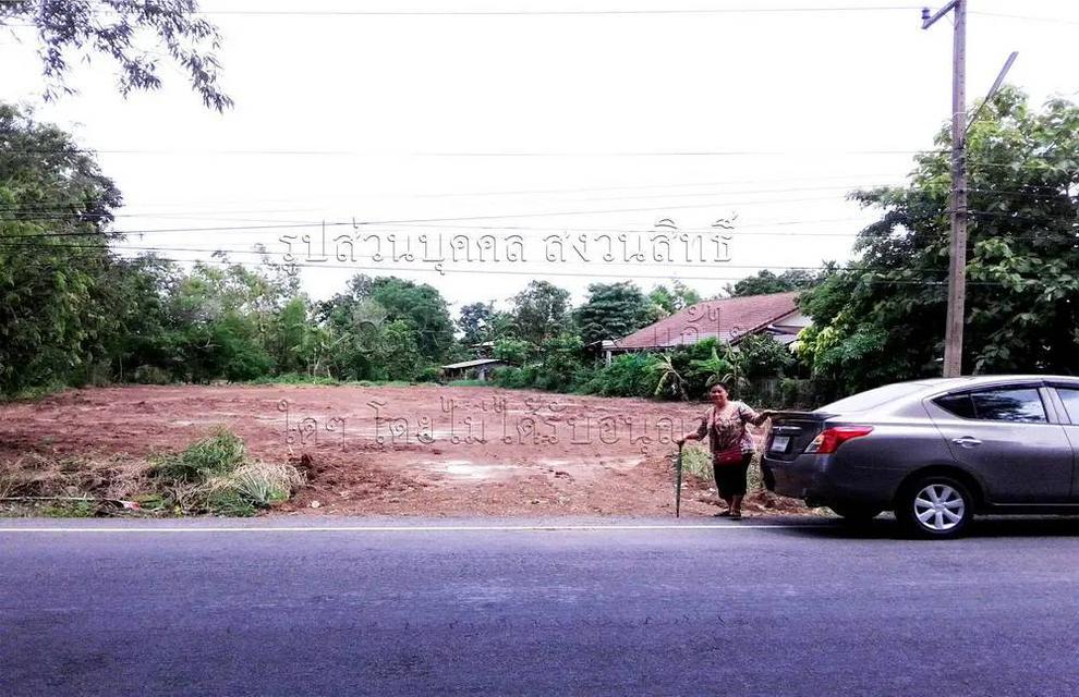 ต้องการขาย ที่ดิน 1 ไร่ 54 ตรว. ต.ม่วงงาม อ.เสาไห้ จ.สระบุรี