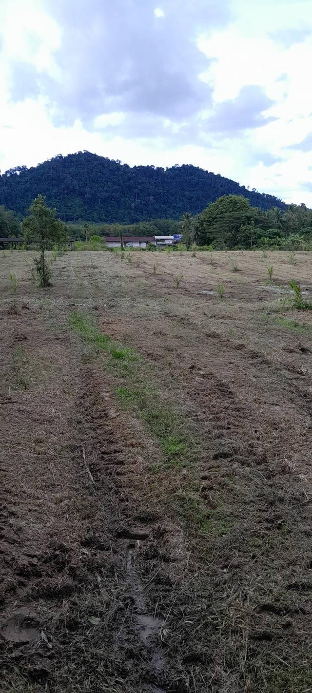 ขายที่ดินพร้อมสิ่งปลูกสร้าง 5