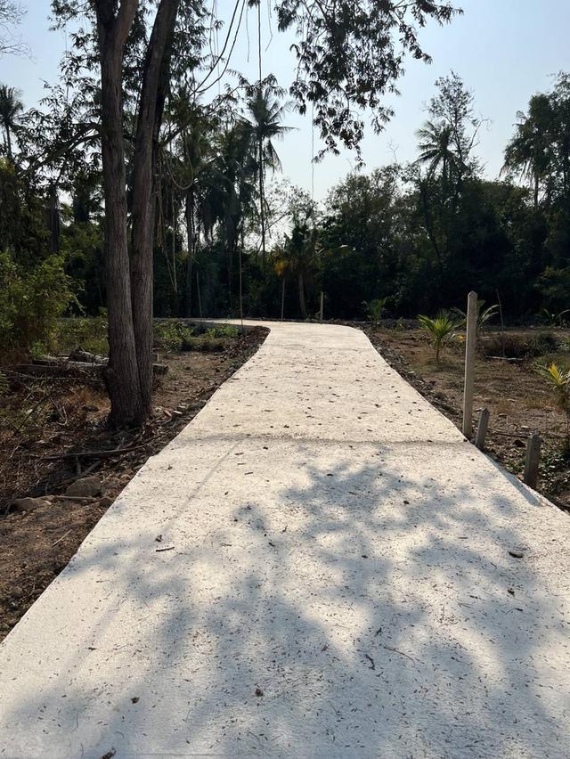 ที่ดินสวยติดแม่น้ำเพชรบุรี 2