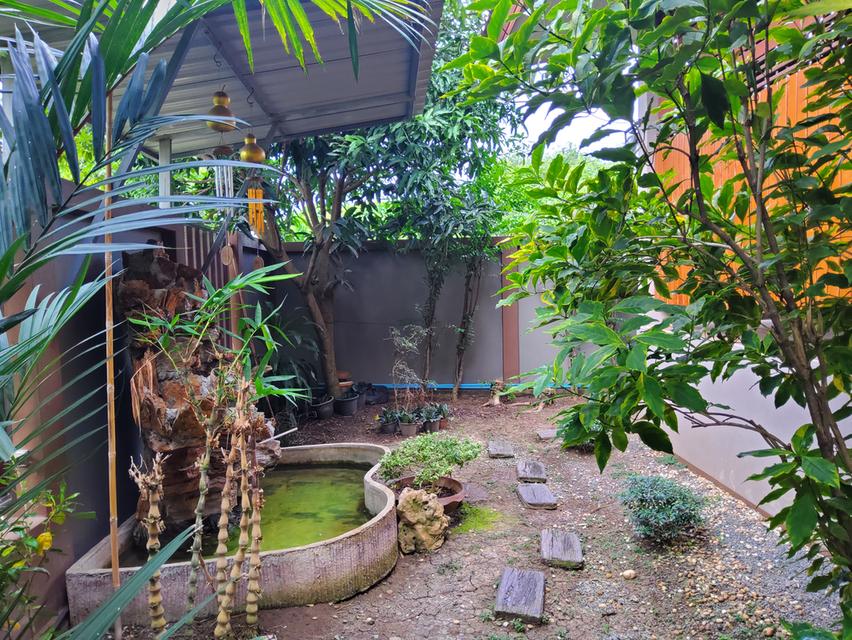 บ้านเดี่ยว(สร้างเอง) 93 ตร.วา ต.ราษฎร์นิยม ไทรน้อย นนทบุรี (เจ้าของขายเอง) 15