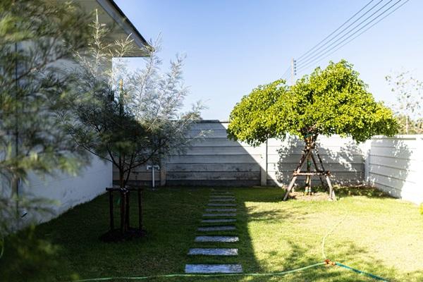 ขายบ้านเดี่ยวสร้างใหม่ พนัสนิคม เจ้าของขายเอง ใกล้331 75.8ตร.ว. ฟรีโอน ทำเลดีเงียบสงบ โทร 099-4464142 8