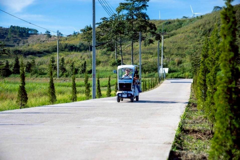 ขายบ้านพูลวิลล่า 1 ชั้น 168 Pool Villa Khao Kho ทุ่งสมอ เขาค้อ เนื้อที่ 150 ตร.วา วิวเขาและกังหันลม สระส่วนตัว หลังสุดท้ 3