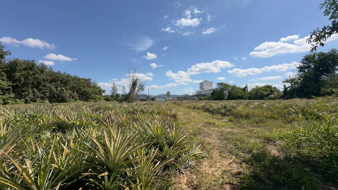 ที่ดิน ปากเเพรก จังหวัดระยอง เนื้อที่ 8 ไร่ 24 ตารางวา 3