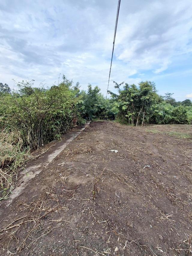 ขายที่ดินเปล่าถมแล้ว ติดคลอง 1 ไร่ 1 งาน ลำลูกกา ปทุมธานี ราคาเพียง 4.5 ล้านบาท 6