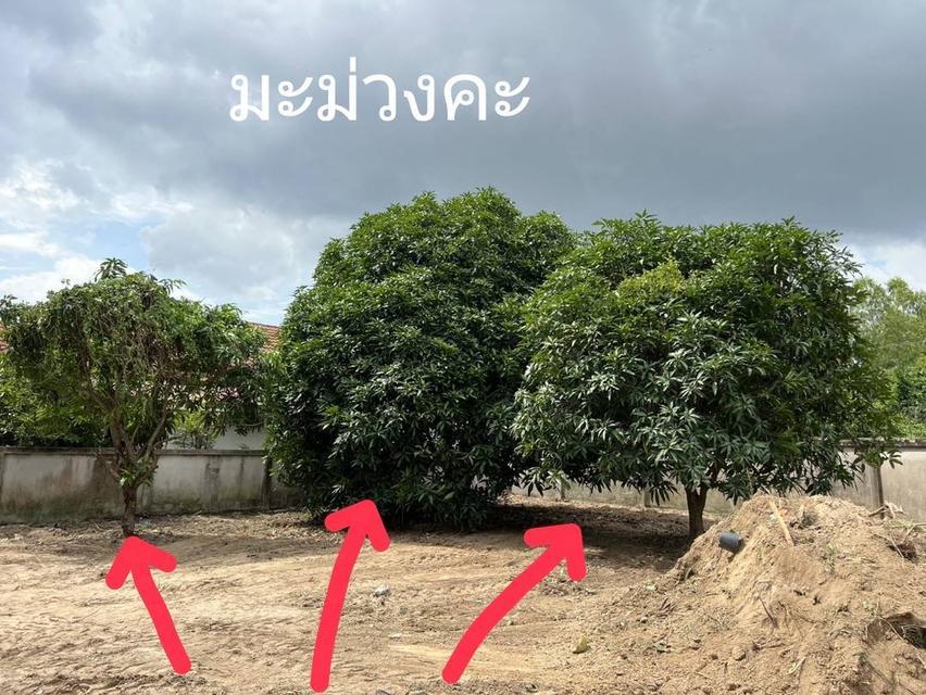 Great vacant land plot 504 m² in Bang Lamung, Chonburi, located in residential area. 5