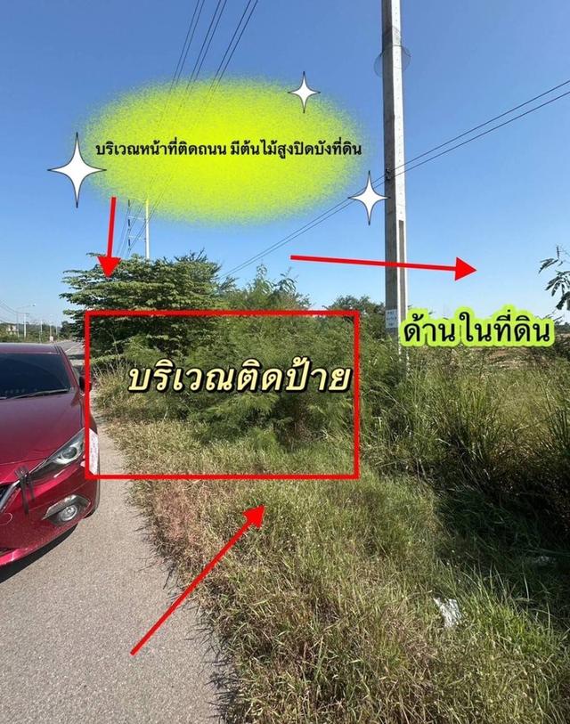 ขายที่ดิน 11 ไร่ 41 ตร.ว. ติดถนน โพธาราม- จังหวัดราชบุรี 2