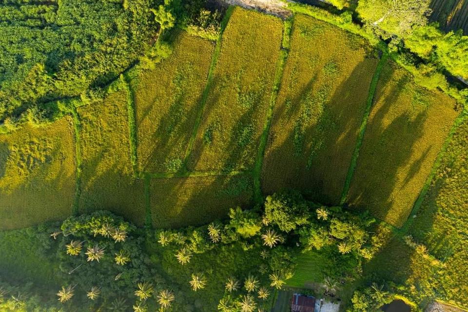 ที่ดินสวยวิวเขาหนองรี 11