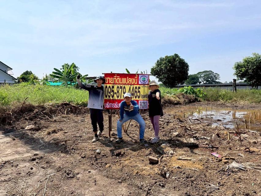 Vายถูกที่ดินบางแวก 75 ตารางวา ติดถนนคอนกรีตสาธารณะ ถมแล้ว 1