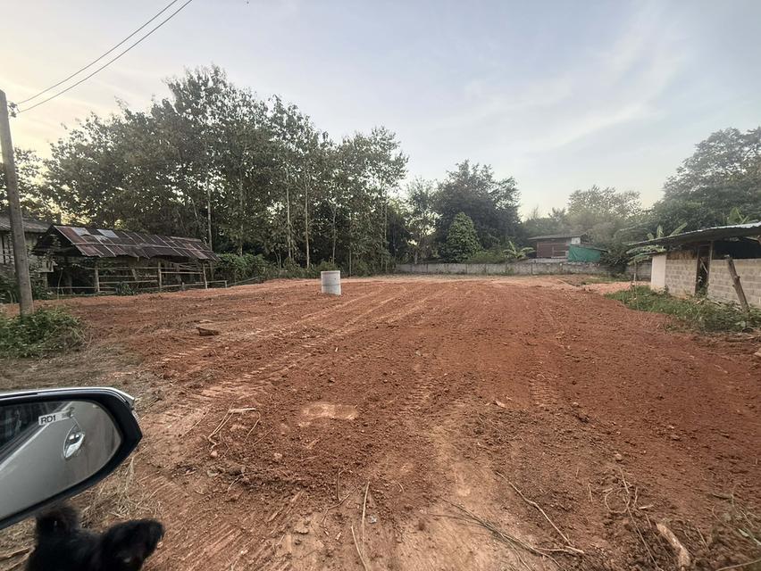 ที่ดิน 54 ตรว น้ำไม่ท่วม สร้างบ้านได้เลย กิ่วป่า5 อ.เมืองน่าน 6