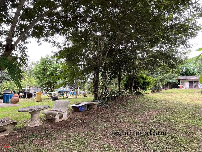 ขายที่ดินพร้อมบ้านและสวนผลไม้