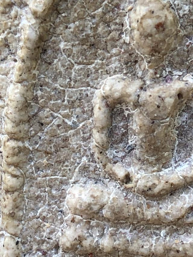 พระสมเด็จวัดระฆังพิมพ์ใหญ่ รูปที่ 15