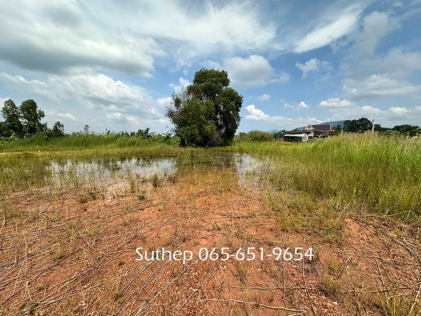 ขายที่ดินถมแล้ว 1-3-38 ไร่ ใกล้หาดแม่รำพึง 1 กม. ไฟฟ้า ประปาพร้อม ตะพง ระยอง 13