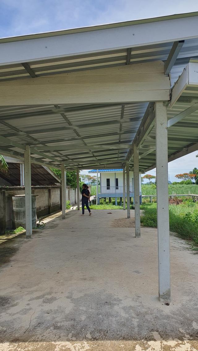 บ้านพร้อมที่ดิน ต.ปากช่อง อ.จอมบึง ราชบุรี 10